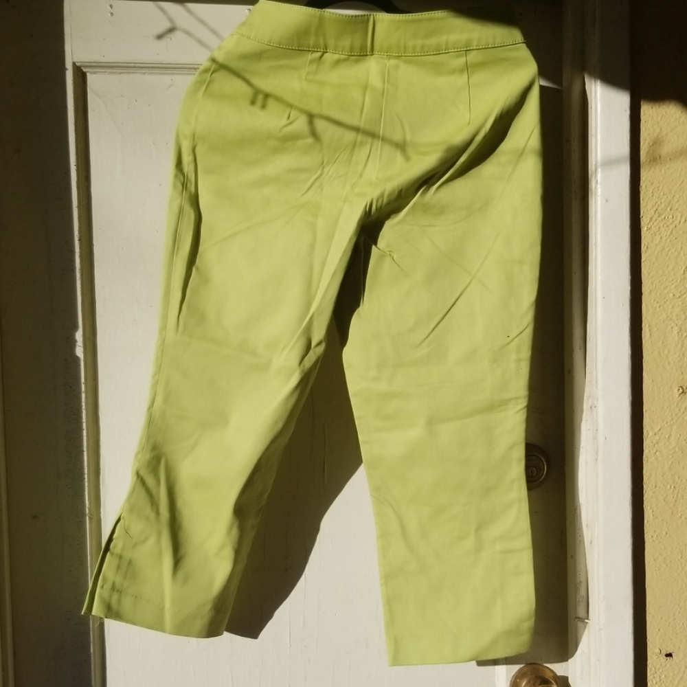 Capris - Picture 3 of 3